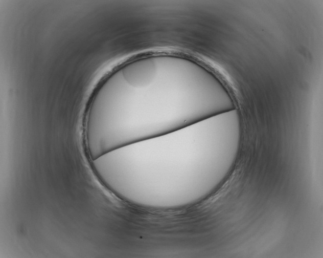 X0000111251327200907021011