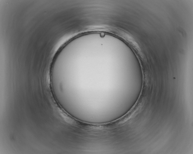 X0000111251328200907021011