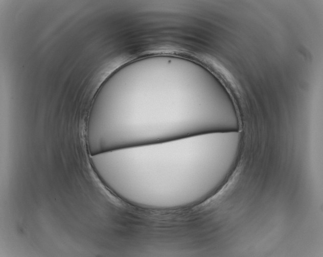 X0000111251329200907021011