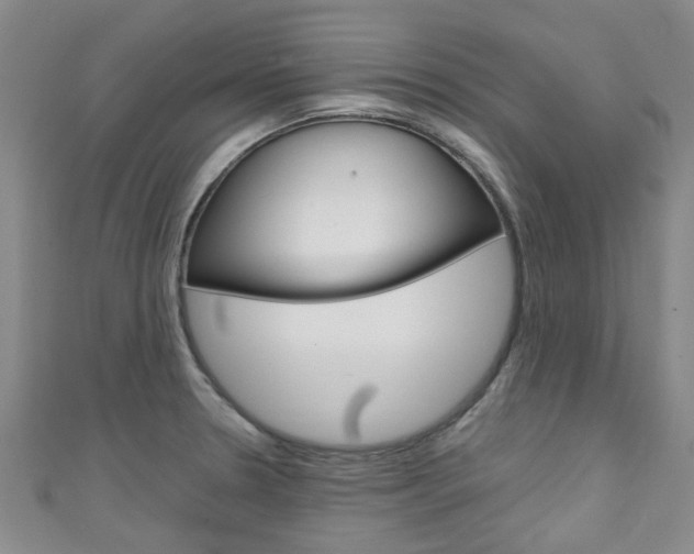 X0000111251330200907021011