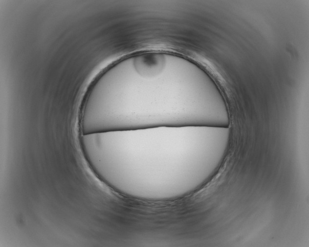 X0000111251331200907021011