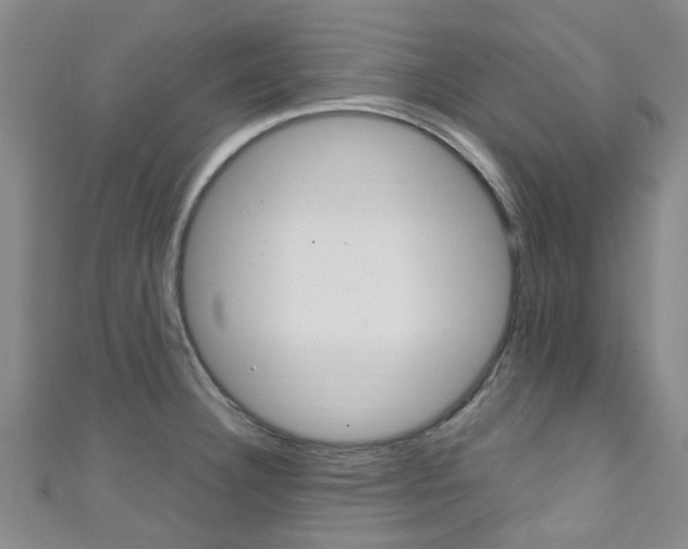 X0000111251332200907021011