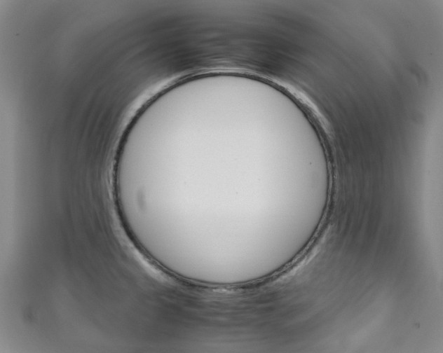 X0000111251333200907021011