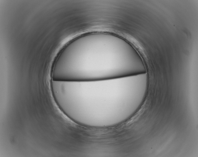 X0000111251334200907021011