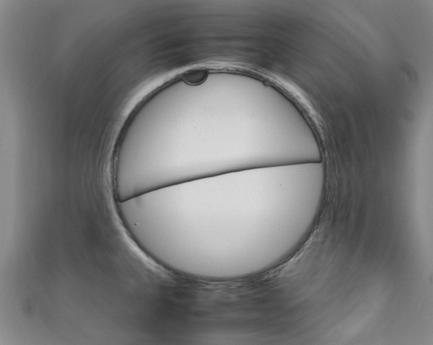 X0000111251335200907021011
