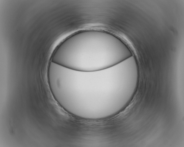 X0000111251336200907021011