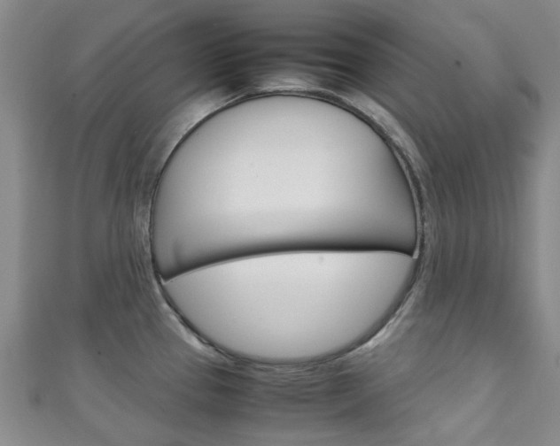 X0000111251337200907021011