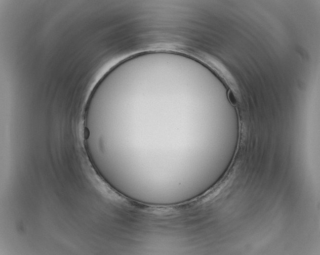 X0000111251340200907021012