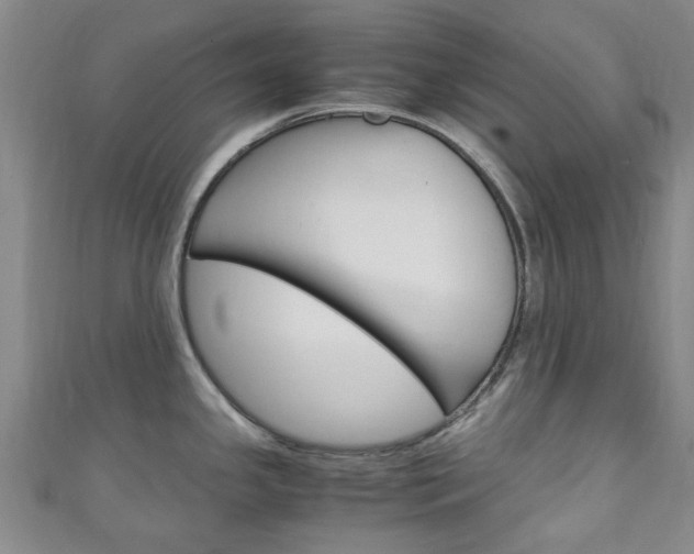 X0000111251341200907021012