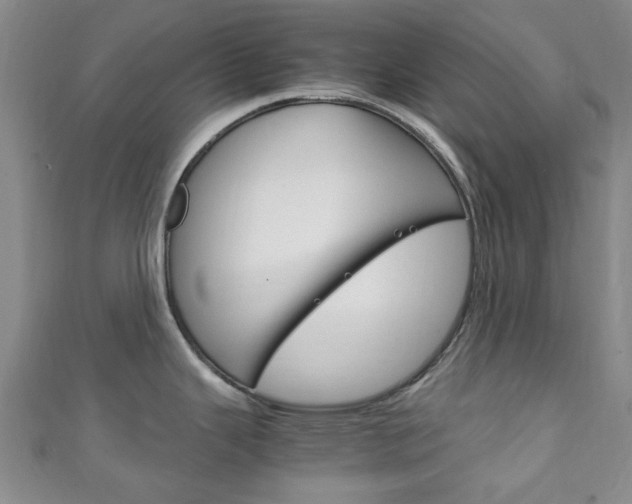 X0000111251343200907021012