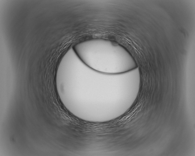 X0000111251345200907021011