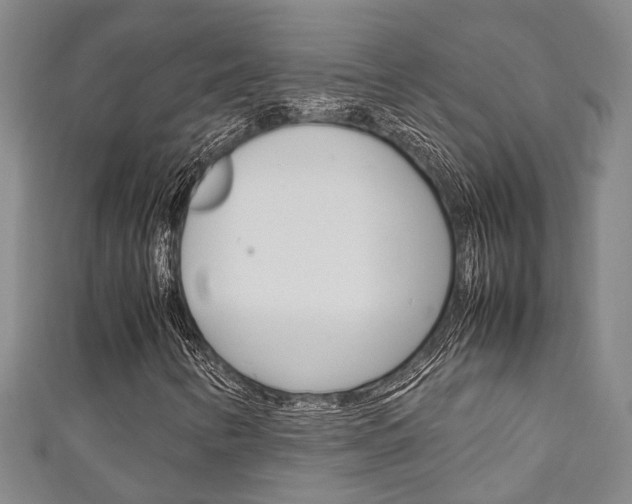 X0000111251346200907021011