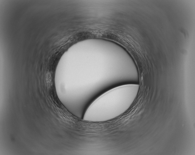 X0000111251347200907021011