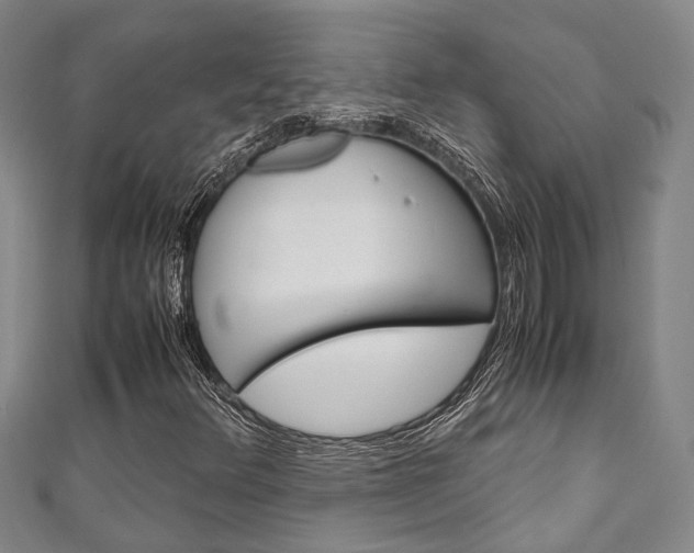 X0000111251348200907021011