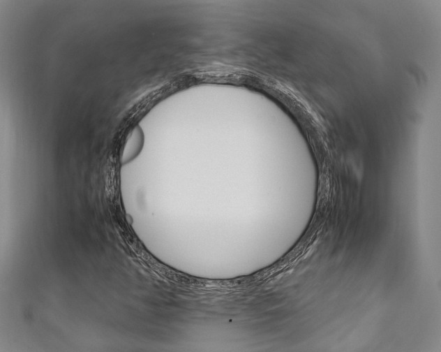 X0000111251350200907021011