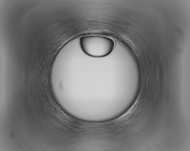 X0000111251353200907021011