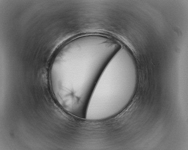 X0000111251356200907021011