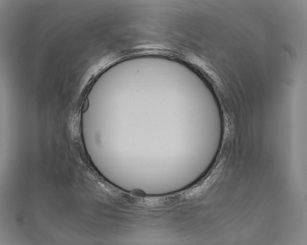 X0000111251357200907021011