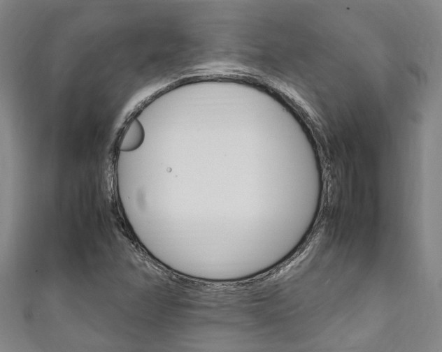X0000111251358200907021011