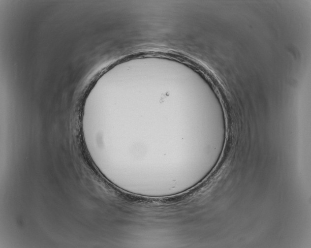 X0000111251359200907021011