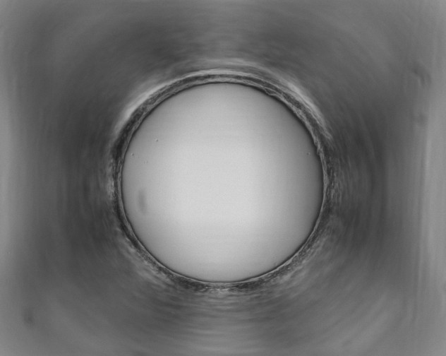 X0000111251360200907021011