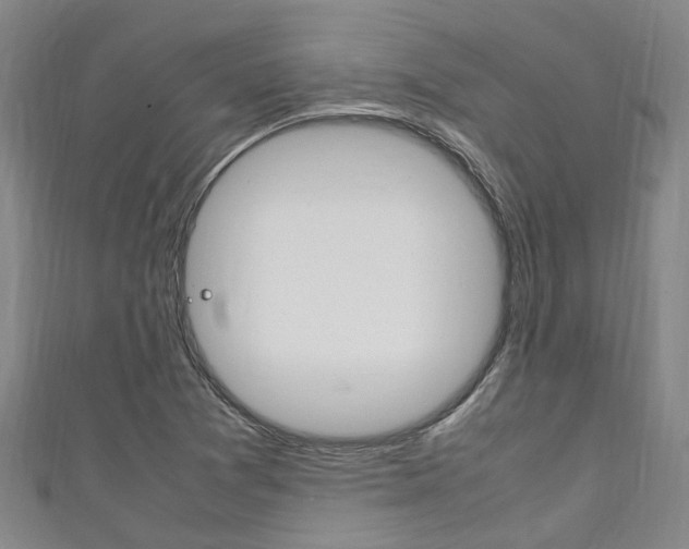 X0000111251361200907021011