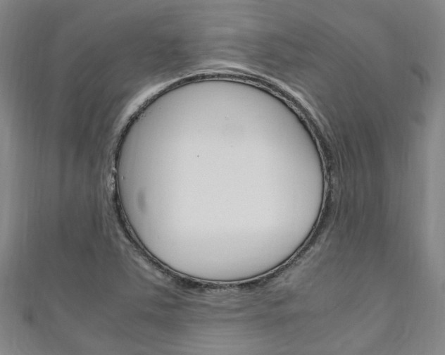 X0000111251363200907021011