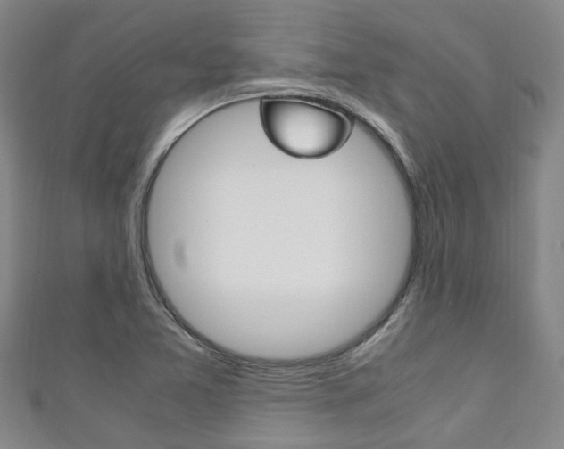 X0000111251365200907021011