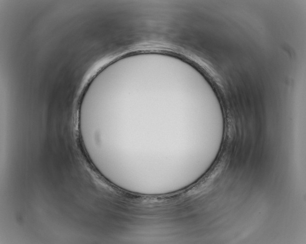 X0000111251366200907021011