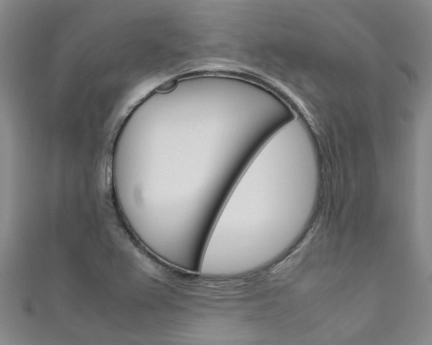 X0000111251367200907021011