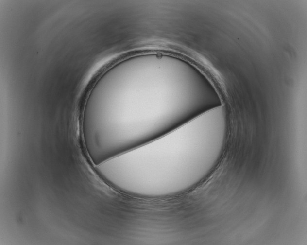 X0000111251368200907021011