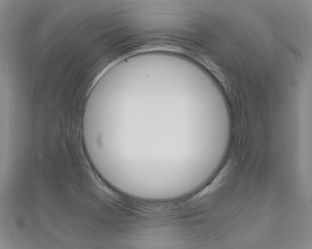 X0000111251369200907021010