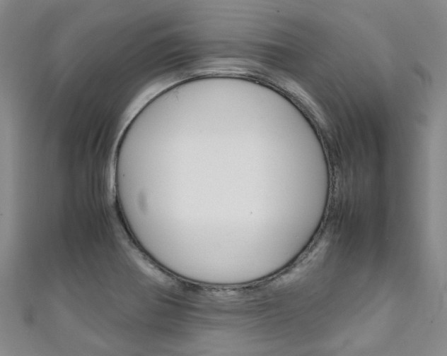 X0000111251370200907021010