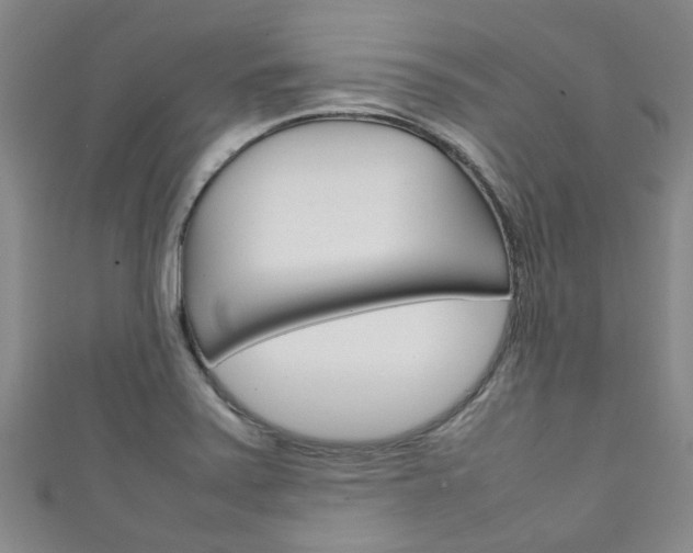 X0000111251371200907021010