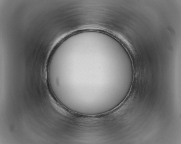 X0000111251372200907021010