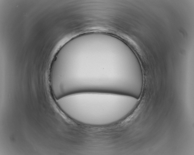 X0000111251373200907021010