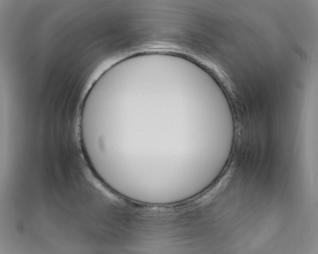 X0000111251374200907021010