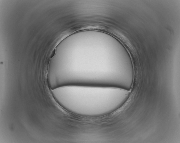 X0000111251377200907021010