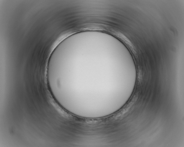 X0000111251378200907021010