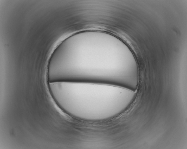 X0000111251379200907021010