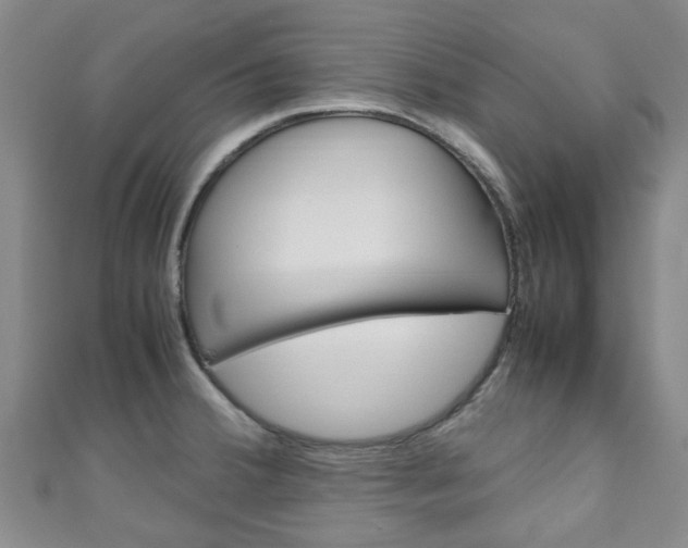 X0000111251380200907021010