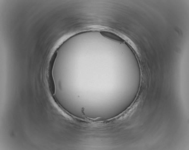 X0000111251381200907021010