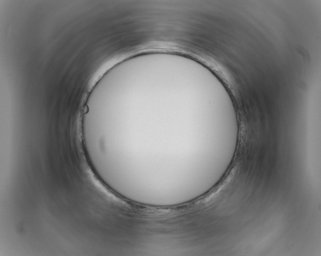 X0000111251382200907021010