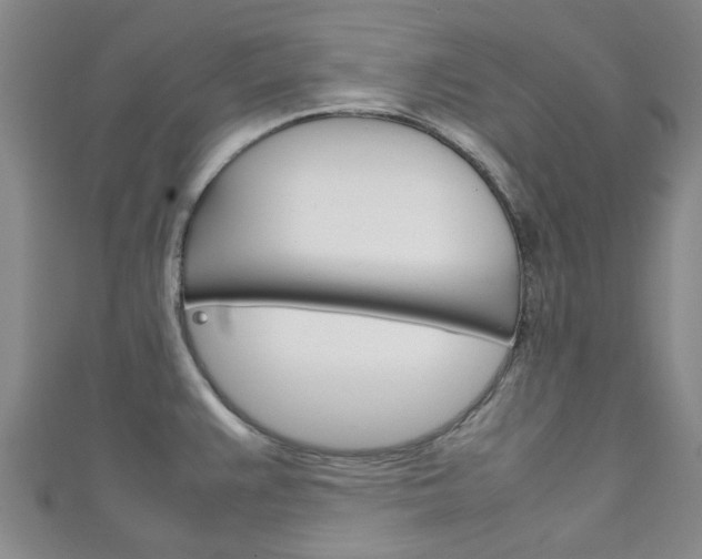 X0000111251383200907021010
