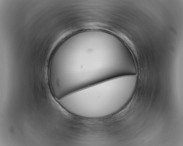 X0000111251384200907021010
