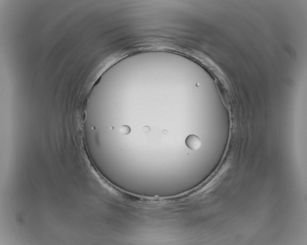 X0000111251385200907021010