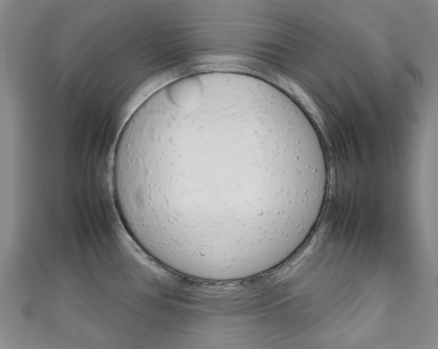 X0000111251386200907021010