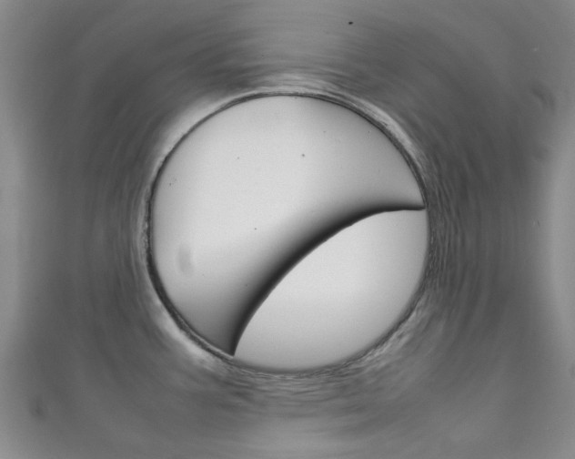 X0000111251387200907021010