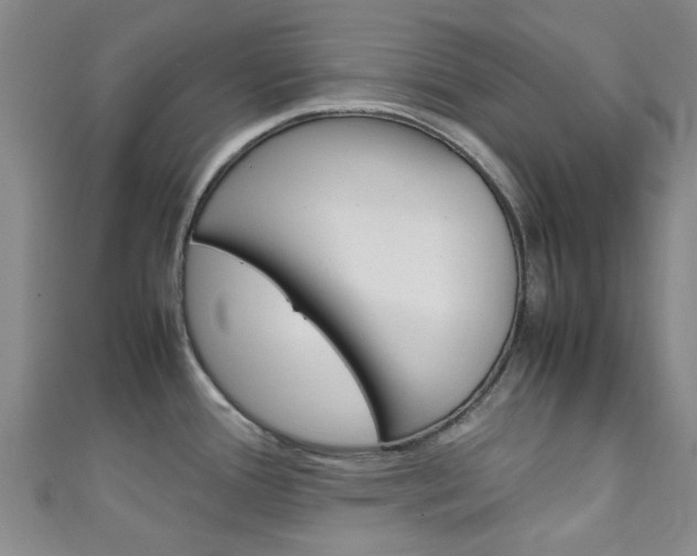 X0000111251388200907021010
