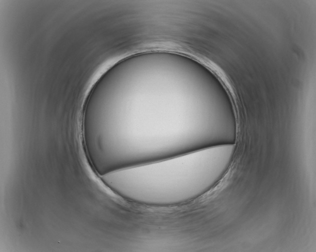 X0000111251389200907021010